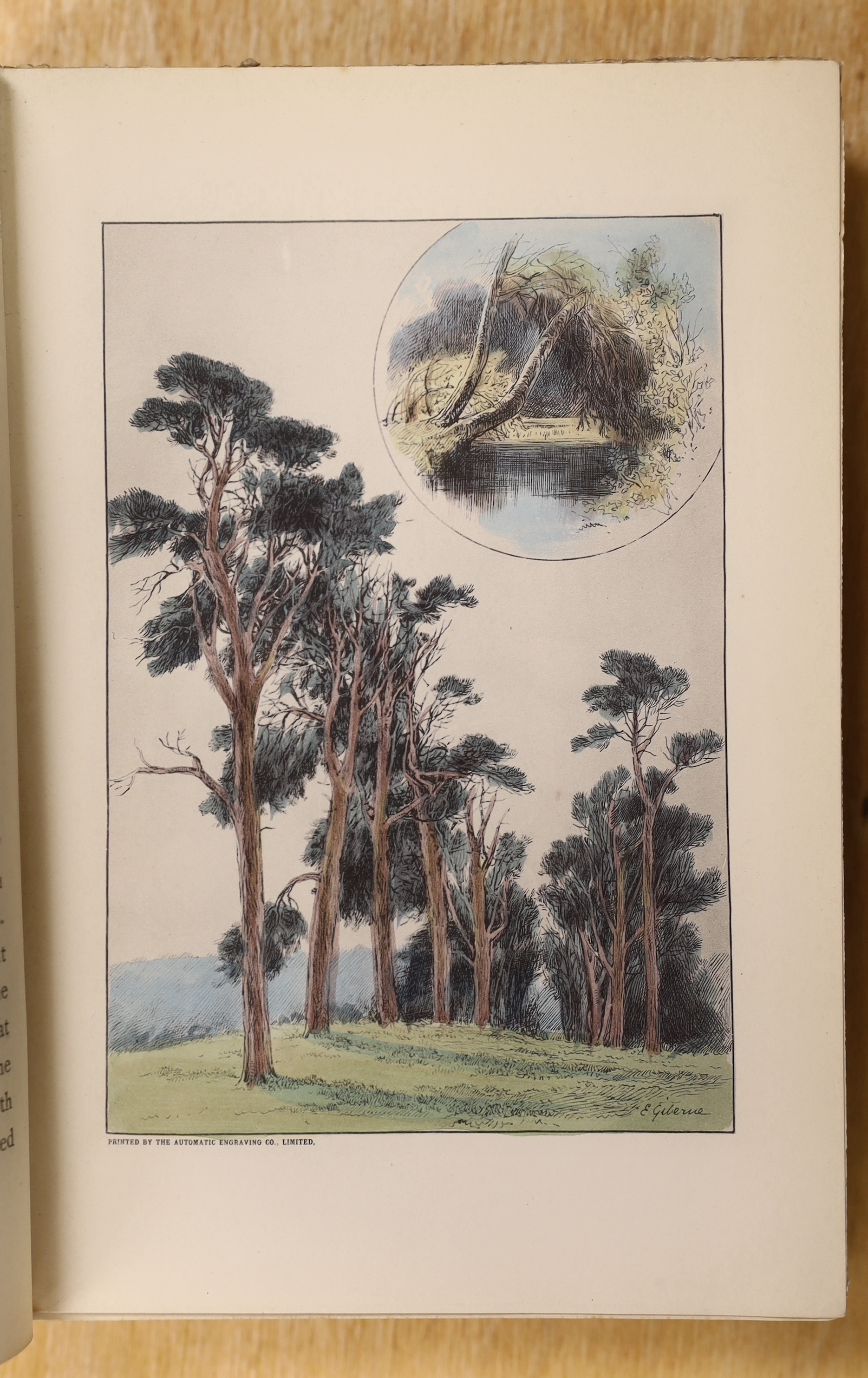 Fortescue, Hon. John - Records of Stag - Hunting on Exmoor. 14 colour printed plates and folded map; publisher's gilt pictorial cloth and patterned e/ps. 1887; Goss, Fred - Memories of a Stag Harbourer: a record of twent